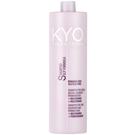 KYO Hydra System Dry Coloured Hair Shampoo 1000ml