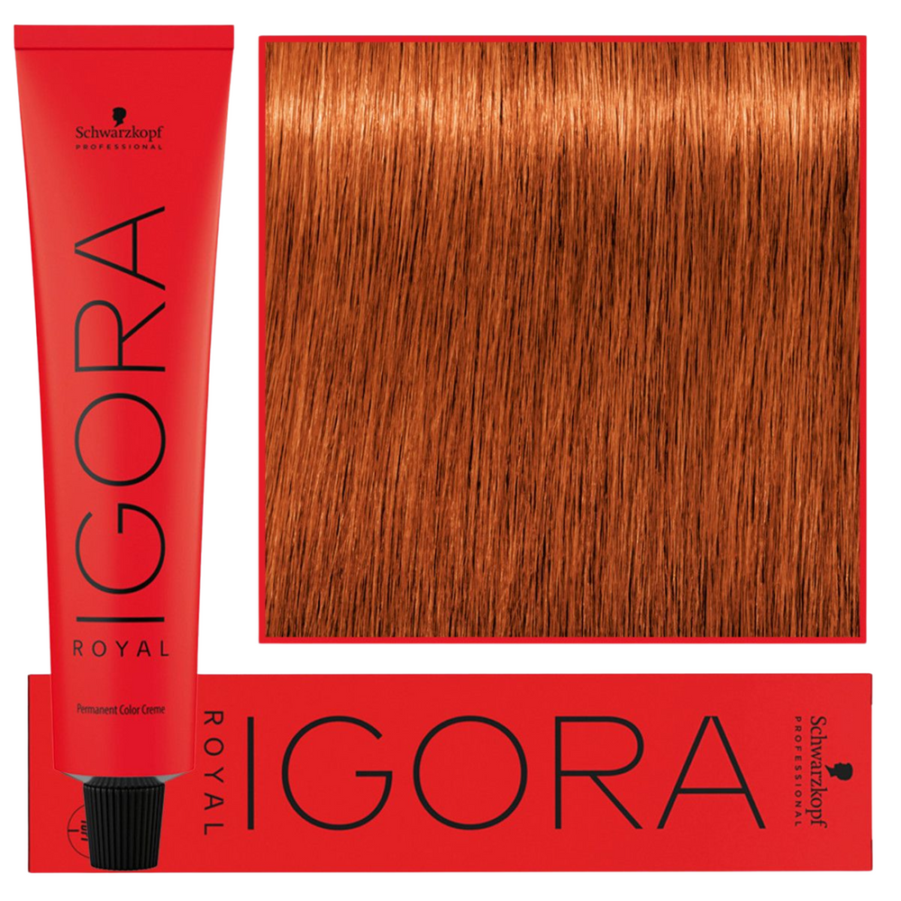 Schwarzkopf Farba Igora Royal 60ml 7-77