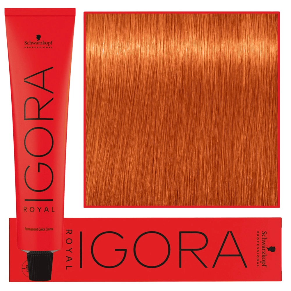 Schwarzkopf Farba Igora Royal 60ml 8-77