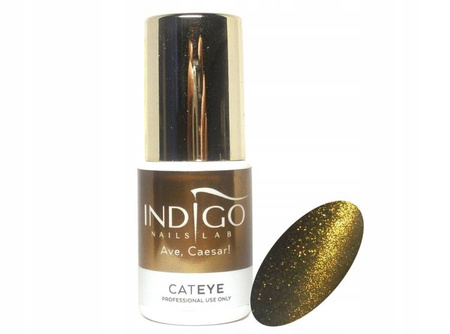 Indigo Ave Caesar Cat Eye Gel Brush ml