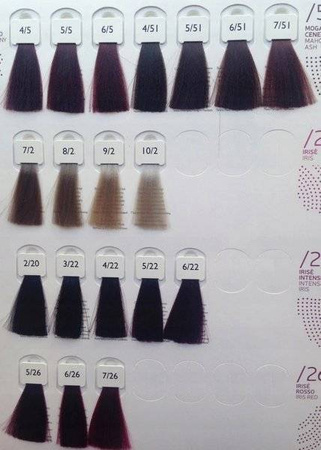 Alter Ego Techno Fruit Color farba do włosów 5/22 - jasny brąz fioletowy intensywny 100ml