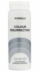 Montibello Colour Resurrection Ice Silver maska do włosów blond 150ml