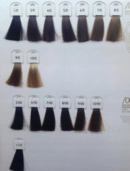 Alter Ego Techno Fruit Color profesjonalna farba trwała do włosów, 1/0 naturalna czerń, 100 ml