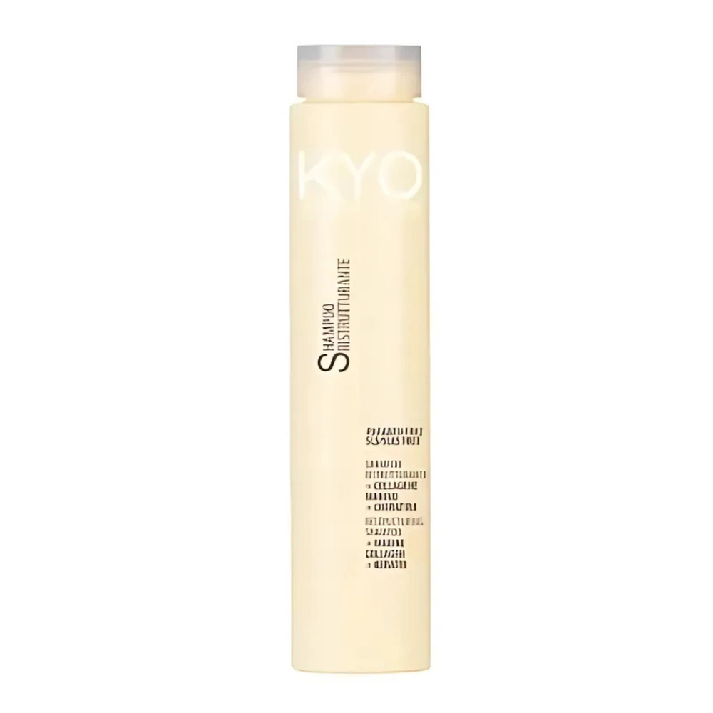KYO Restruct System Restructuring Shampoo 250ml