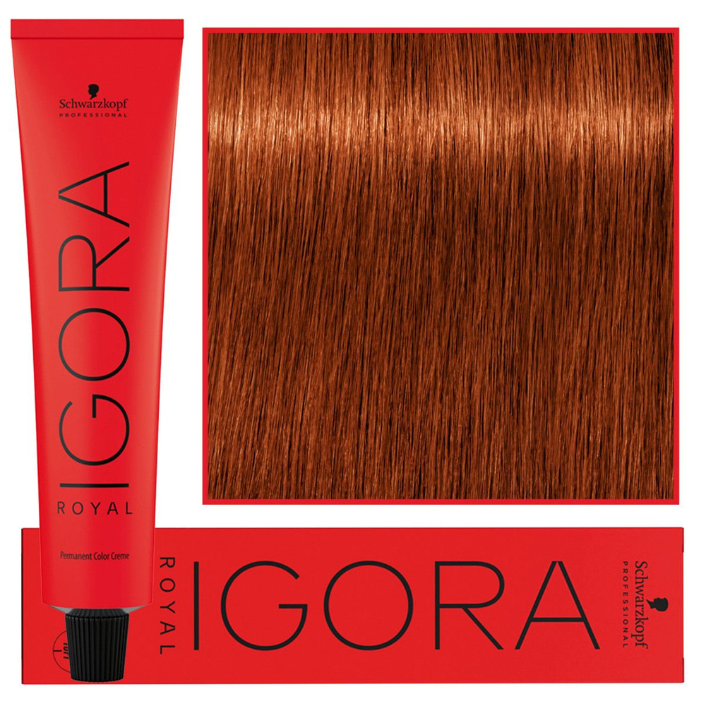 Schwarzkopf Farba Igora Royal 60ml 6-77
