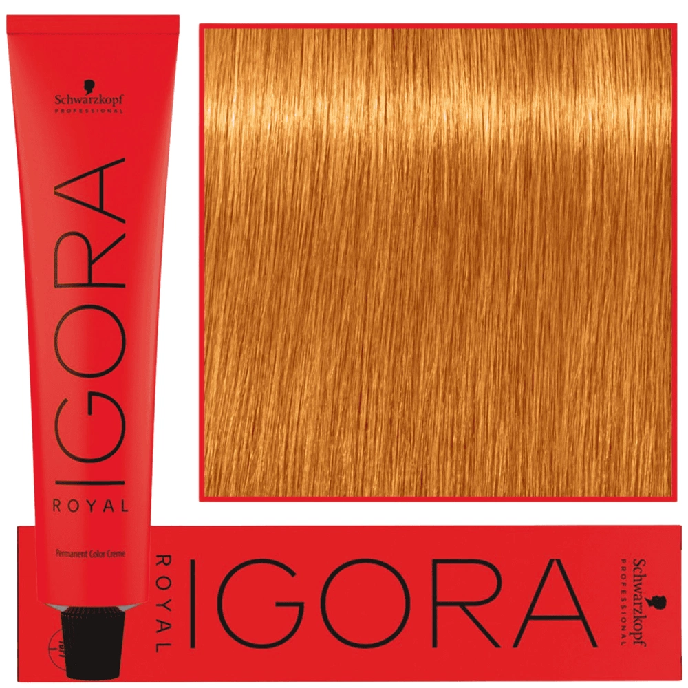 Schwarzkopf Farba Igora Royal 60ml 9-7