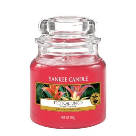 Yankee Candle Tropical Jungle mała świeca zapachowa egzotyczna dżungla zielone i owocowe nuty 104g