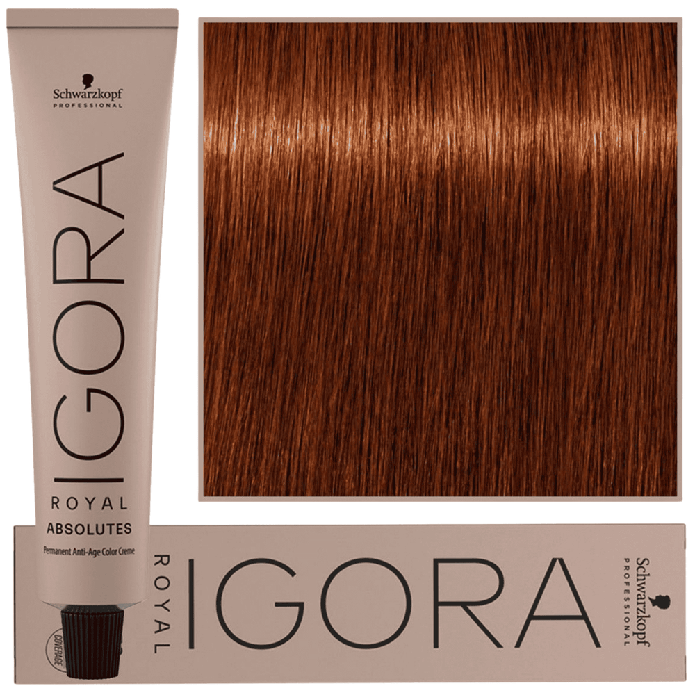 Schwarzkopf Farba Igora Royal Absolutes 60ml 6-70